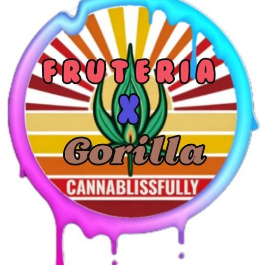 (Sold out) Fruteria X Gorilla, Autoflower by Cannablissfully, (Fem) F1, Outdoor, Organic. 3+2 Free seeds